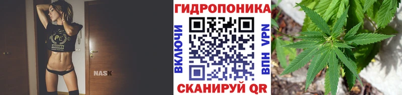 Где купить наркоту Омутнинск Галлюциногенные грибы  Бошки Шишки  COCAIN 