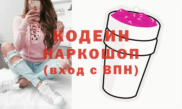 ешки Алексин
