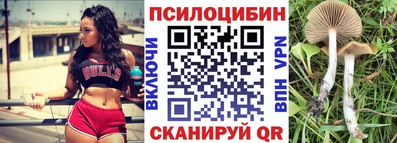 Галлюциногенные грибы мицелий  Омутнинск 